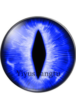 ((()((((()( cover