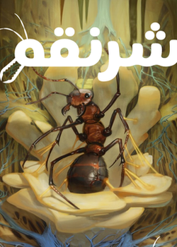 شرنقة