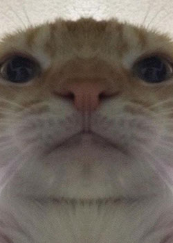 ززز