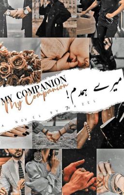 My companion _ میرےہمدم cover