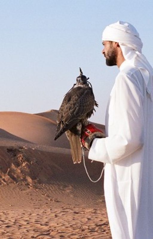 رجفة قلوب اسود الصحراء