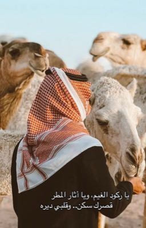 يا ركود الغيم، ويا أثار المطر قصرك سكن.. وقلبي ديره